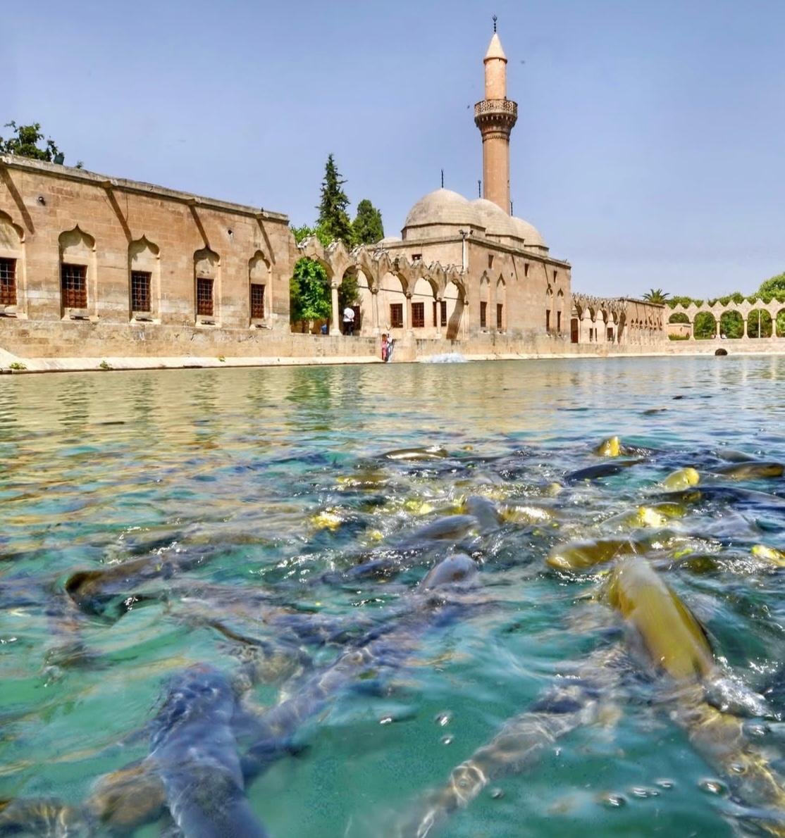 10 DAYS MYSTERIOUS TURKIYE TOUR